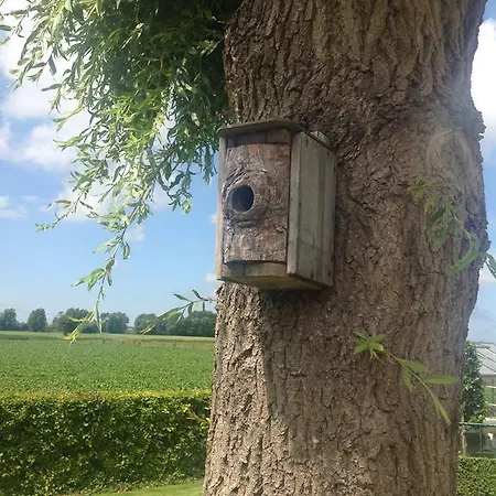 Decoster זאונקרקה