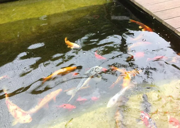 Decoster Panzió Zuienkerke