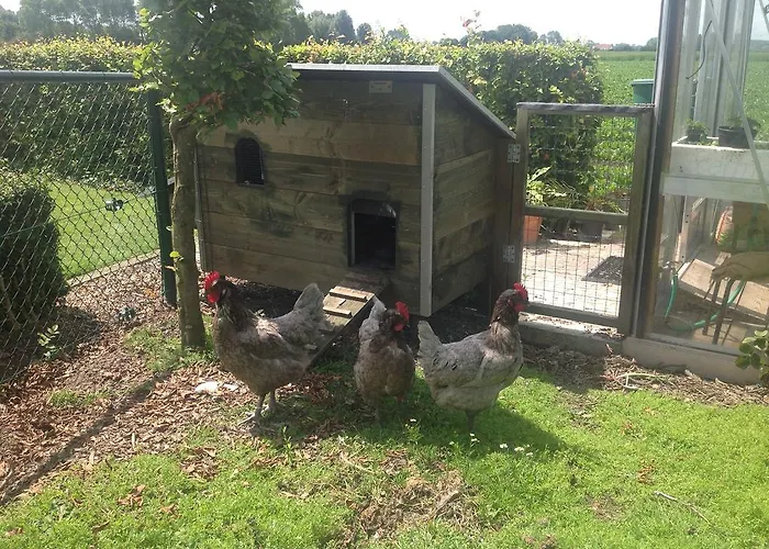 Bed & Breakfast Decoster 3*